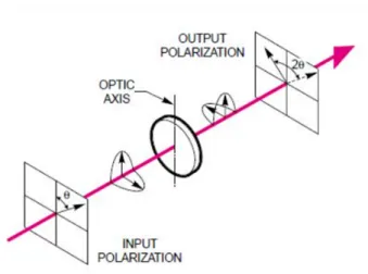 Fig. 2. (Color online) Experimental setup for observing interference pattern from a birefringent material.