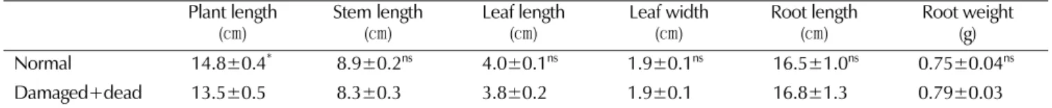 Table 4. Effects of leaf development stage on cold stress. Seedlings were treated with cold at -4℃ for 16 hr