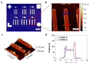 Fig. 3. (Color online) (a) Patterned metal image on SiO 2