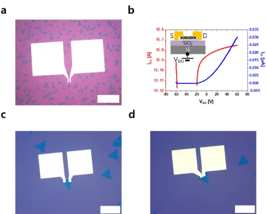 Fig. 5. (Color online) (a) Optical micrograph image of CVD-MoS 2 FET with Cr/Al electrodes