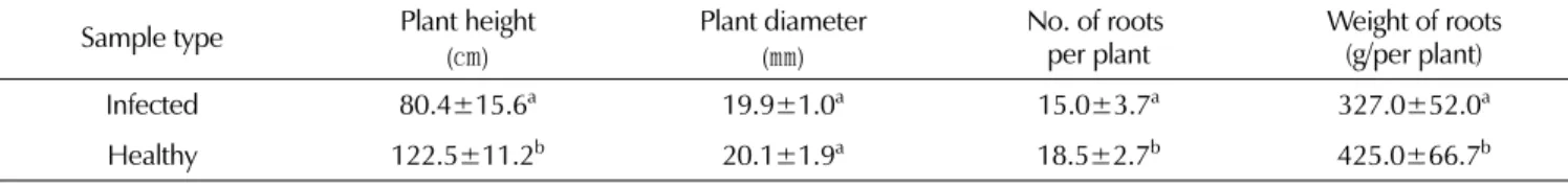 Table 2. Comparison of bionomical characteristics of figwort plants between virus-infected and healthy plants.