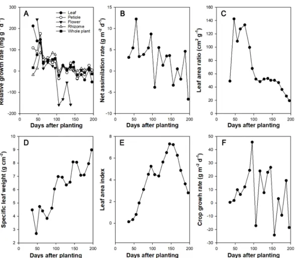 Fig. 4. Changes of growth analysis characters of Rehmannia glutinosa cv. Dagang. A; relative growth rate, B; net assimilation rate, C; leaf area ratio, D; specific leaf weight, E; leaf area index, F; crop growth rate.