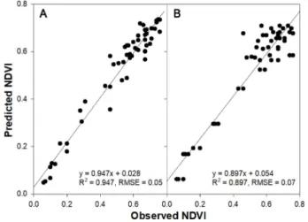 Fig.  7. Relations between observed and predicted normalized difference vegetation index (NDVI) which were derived from multiple regressions of growth (A) and climate factors (B) with NDVI in Rehmannia glutinosa cv.