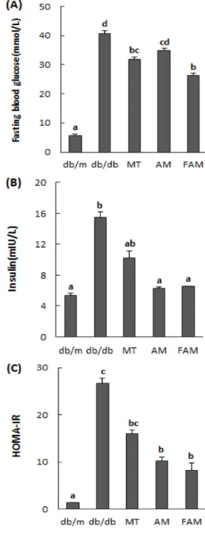 Fig. 3. Effect of fermented Astragalus membranaceus (Fisch.) Bunge extract on serum blood glucose, insulin level and HOMA-IR in db/db mice