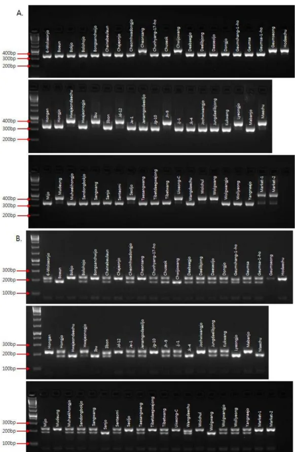 Fig. 2. Results of electrophoresis performed on 60 Z. jujuba genetic resources using two Z