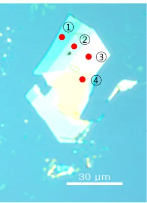 Fig. 1. (Color online) Optical microscope image of exfoliated-2H phase WTe 2 .