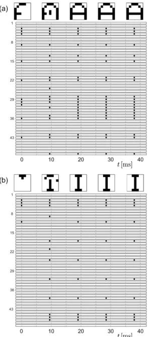 Fig. 2. (a-b) Firing states of two symmetrically coupled neurons in a Feynman machine, obtained from different initial states (adopted from Ref
