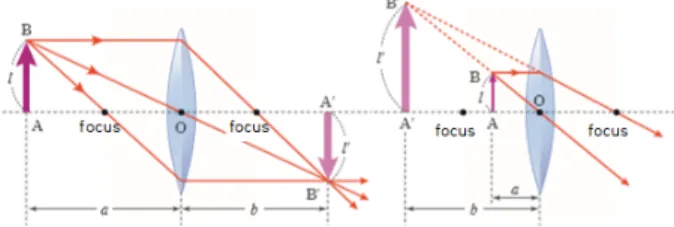 Fig. 2. (Color online) Wrong illustration about thin film interference (P1E, p.177). 무반사 코팅막과 비눗막의 두께는 매우 얇아 0.5λ − λ(위 치에 따라 다르지만) 수준이기 때문에, 막 속에서의 파동의 모습을 제대로 나타내는 것이 쉽지 않다
