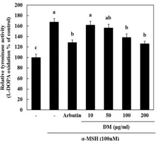Fig.  3. Effect of DM and α-MSH on tyrosinase activity in melanoma cells. Cells were seeded at 1 × 10 5 cells/