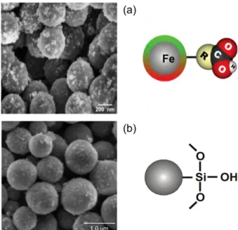 Fig. 2. (Color online) The Cu rod electrodes and 3.0 cc container with a concentration of 0.5% w/v of magnetic nanoparticles and with a distilled water containing 0.05%