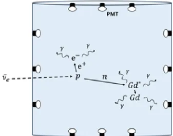 Fig. 1. (Color online) A schematic view of the IBD process where a pair annihilation is created and  subse-quently a neutron is captured by Gd in the liquid  scintil-lating cylindrical detector