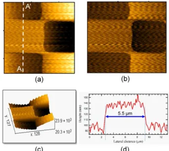 Fig. 7. (Color online) (a) Topographical image of the calibration sample, (b) error-signal image, (c) 3D  topo-graphical image, and (d) line profile along AA ′ shown in (a)
