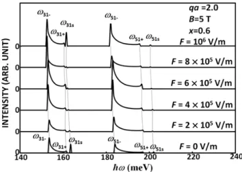 Fig. 6. ℏω versus Raman intensities for bulk and surface plasmons due to intrasubband transitions using γ = 10 −7 meV at qa = 2.0, x = 0.6, and F = 5 ×10 5 V/m under the same magnetic fields as those used for previous figures.