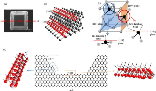 Fig. 4. (Color online) (a) FE-SEM images of Si(100) etched for 4 h at 70 ◦ C. (b) Three-dimensional atomic schematic diagram of Si(100)