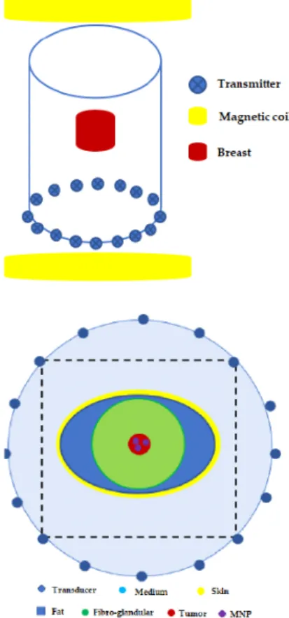 Fig.  32.  Microwave  holography  imaging  for  breast  le- le-sion  diagnostics [65] .