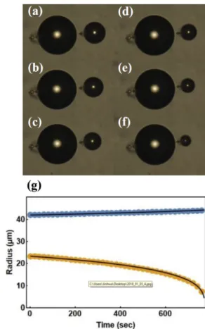 Fig. 1. (Color online) Defects near bubble in left and right direction alignment of liquid crystal