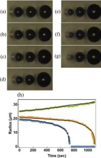Fig. 5. (Color online) The size change of three beigh- beigh-boring bubbles. Three bubbles have elastic dipolar  con-figuration