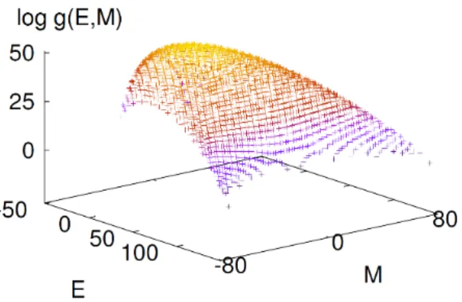 Fig. 2. (Color online) Plot of log (g(E, M )) as a function of interaction energy E and magnetization M for Ising model on 10 × 10 kagomé lattice.