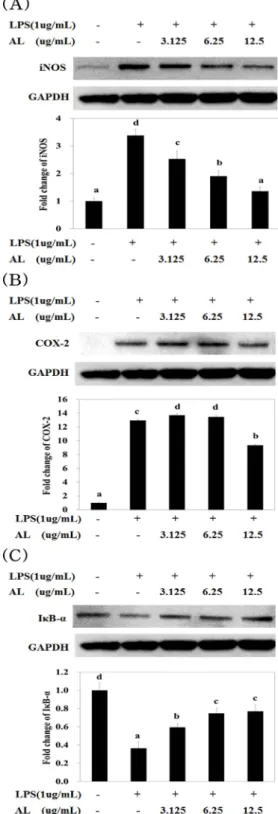 Fig. 5. Effect of AL on the expression of iNOS (A), COX-2 (B), I κB-α (C) by LPS treated RAW264.7  cells