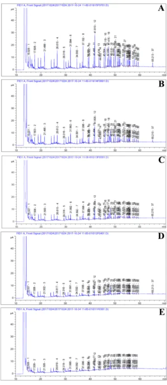 Fig. 1. GC-FID chromatogram of fatty acid standards for quantitative analysis. Concentrations of each standards were diluted to A; 1/4, B; 1/8, C; 1/16, D;