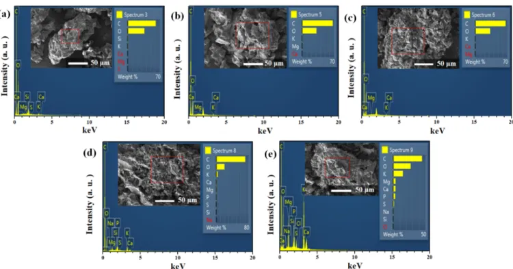 Fig. 2. (Color online) FE-SEM images and EDS analysis of coffee waste to burn for (a) 0 hour, (b) 1 hours, (c) 2 hours, (d) 3 hours, and (d) 4 hours.