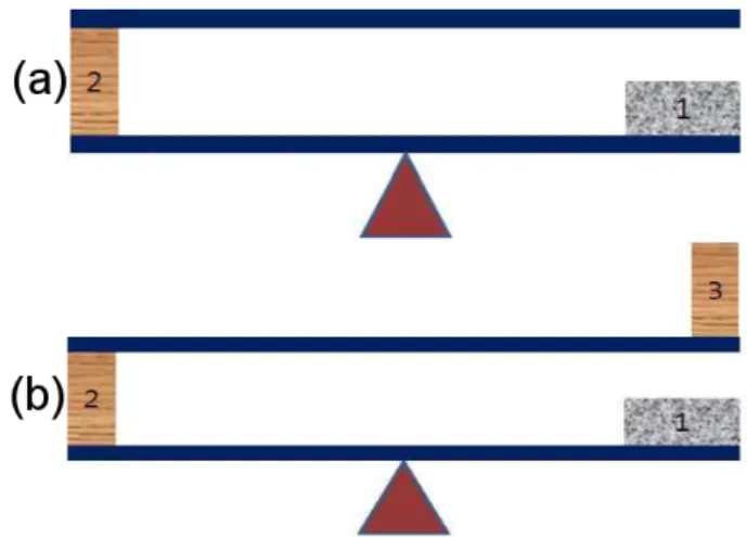 Fig. 1. (Color online) The anomalous situation of this study (a) The lever is maintaining equilibrium