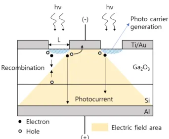 Fig. 5. (Color online) Cross sectional schematic of the Schottky diode under illumination.