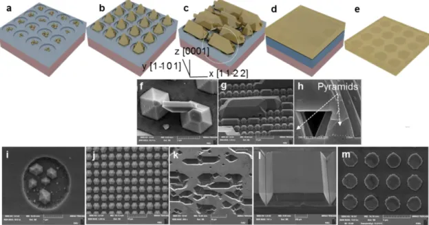 Fig. 2. (Color online) SEM image and its morphology of growth process for the bare chip