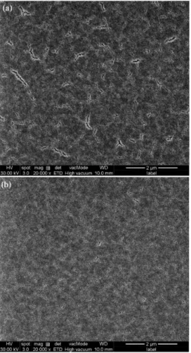 Fig. 7. (Color online) Bright field TEM image of the sample which was grown on MgO buffer layer.