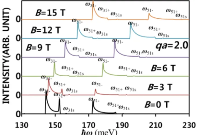 Fig. 5는 Fig. 2와 같은 조건하에서 여러 자기장세기에 대해 반 포물선형 구속 퍼텐셜내의 플라즈몬들이 광흡수에 의한 라만세기를 입사광 에너지의 함수로 나타낸 것으로 각각 부 밴드 띠 내 준이들에 기인한 벌크 상태에 의한 4 개의 피크와 표면 상태에 의한 2개의 피크를 합쳐 6개의 피크를 발견 할 수 있는데 이 결과도 Fig