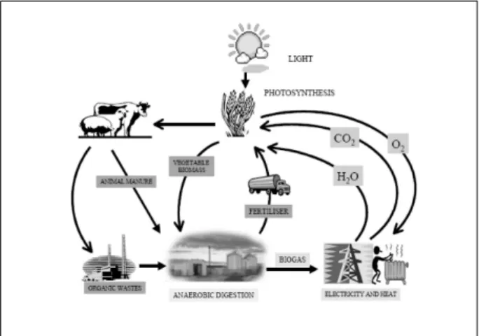 Fig.  1  Resource  recycling  system  of  biogas.