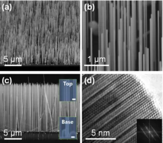 Fig. 2. (Color online) (a) Illustration and (b) SEM image of a TLM pattern formed on an InAs nanowire