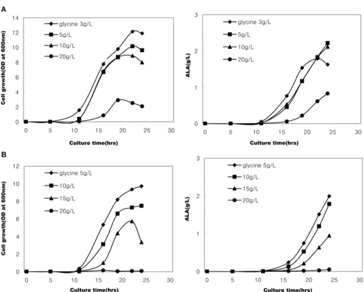 Fig. 2. Effects of glycine concentration on the growth of recombinant E. coli and ALA production in SGYP medium (initial pH 6.3) containing succinic acid 10 g/L (A series) or 20 g/L (B series).