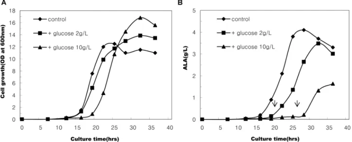 Fig. 4. Effects of glucose supplement on the growth of recombinant E. coli and ALA production in SGYP medium (initial pH 6.3) added Na-glutamate 10 g/L