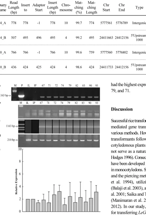 Fig. 4 PCR analysis of leaf tissue from a regenerated plant. Lane M Lambda DNA/Hind III marker, Lane P Plasmid DNA, Lane  IL Ilmi, Lane IP Ilpum, Lane 67,  71,  72,  74,  79,  82,  83,  90,  and  93 transformants in Ilpum