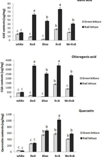 Fig. 5 Accumulation of phenolic compounds in green and red  lettuce leaves. Data represent mean ±SD values of 3 replicates,  significance level p  ≤  0.05