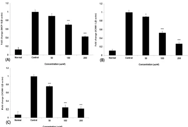 Fig.  4.  Effect  of  PLCP  on  MCP-1(A),  ICAM-1(B)  and  VCAM-1(C)  mRNA  expression  level  in  HUVEC