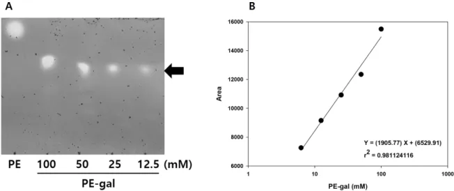 Figure  2.  Preparation  of  standard  curve  for  PE-gal  quantification  using  TLC  analysis