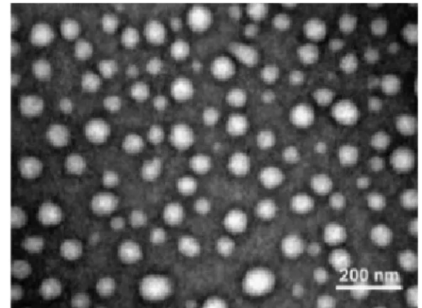 Figure  1.  Transmission  electron  microscopy  (TEM)  image  of  the  hydrogel  nanoparticles  (18).