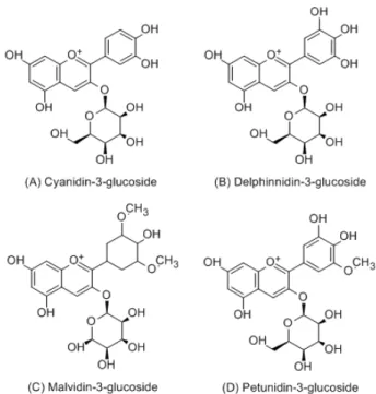 Figure  2.  Major  anthocyanins.