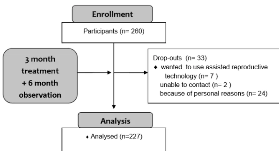 Fig.  1.  Flow  diagram  of  the  project