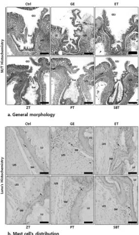 Fig.  9.  The  mitigative  effect  of  muscular  damage  &amp; 