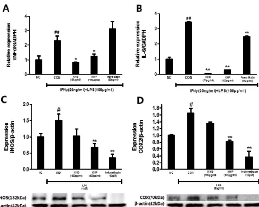 Fig.  5.  The  effect  of  KHB  and  KHP  on  anti-inflammation-related  mediator  expressions  including  TNF-α  (A),  IL-6  (B),  iNOS  (C)  and  COX-2  (D)