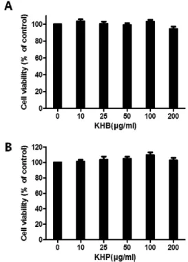 Fig.  1.  The  effect  of  KHB  (A)  and  KHP  (B)  on  cell  viability  in  human  monocytic  THP-1  cell  line