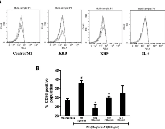 Fig.  2.  The  effect  of  KHB  and  KHP  on  expression  of  CD86  levels  in  M1  polarized  THP-1  cells