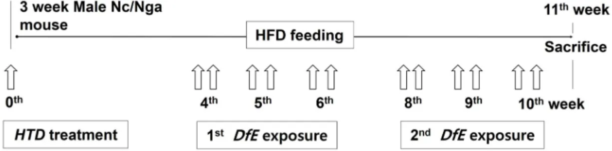 Fig.  1.  Experiment  design.