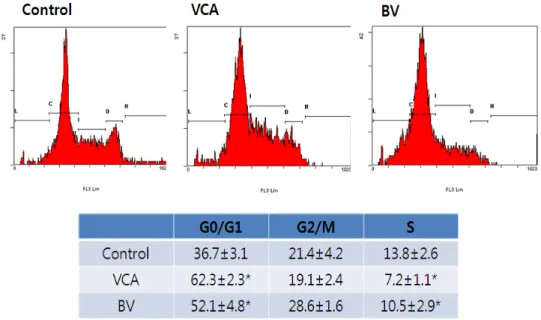 Fig.  6.  Effect  of  VCA  and  BV  on  the  cell  cycle  of  Hep  G2  cells.  Hep  G2  cells  treated  with  VCA  (50  ug/ml)  and  BV  (10  ug/ml)  for  9  h  and  then  fixed  and  stained  with  PI