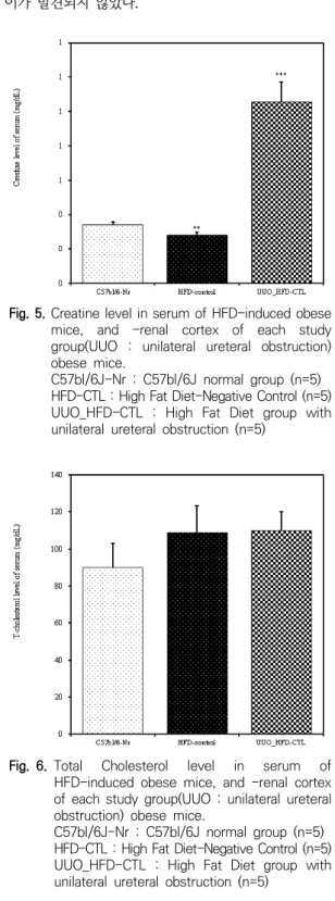 Fig.  4.  AST,  ALT  level  in  serum  of  HFD-induced  obese mice, and -renal cortex of each study  group(UUO  :  unilateral  ureteral  obstruction)  obese  mice.