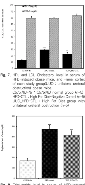 Fig.  7.  HDL  and  LDL  Cholesterol  level  in  serum  of  HFD-induced  obese  mice,  and  -renal  cortex  of  each  study  group(UUO  :  unilateral  ureteral  obstruction)  obese  mice.