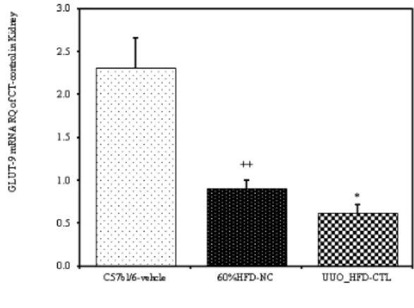 Fig.  11.  Liver  weight  in  HFD-induced  obese  mice,  and  -renal  cortex  of  each  study  group(UUO  : unilateral ureteral obstruction) obese mice.